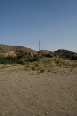 Wall Mural - ecology land field