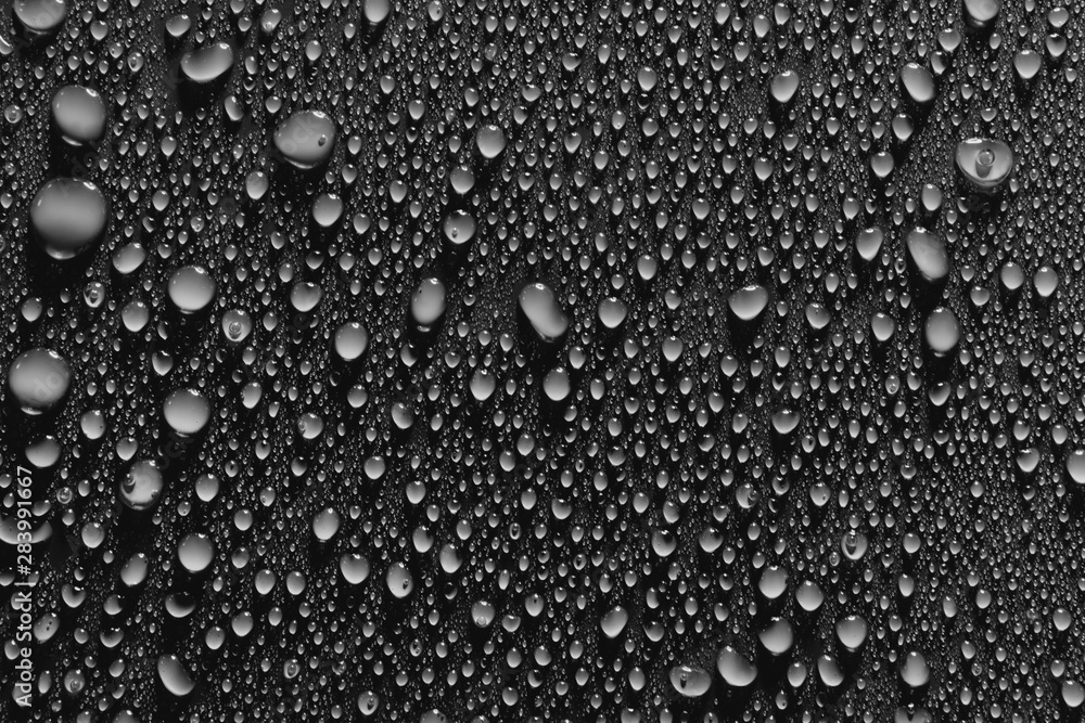 Fresh water drops, black background - obrazy, fototapety, plakaty 
