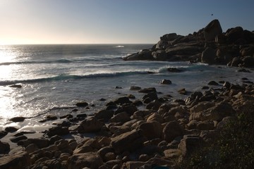 Wall Mural - waves barrier tide