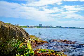 Seascape with stones and seaweed 2