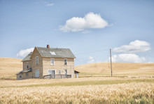 Original Photograph Of An Old Abandoned House In The Middle Of A Field Of Golden Wheat