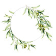 Watercolor wreath with green olive berries and leaves. Hand painted floral circle border with olive fruit and tree branches with leaves isolated on white background. For design, print and fabric.