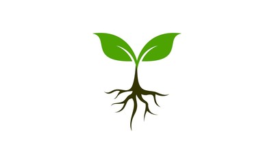 Plant icon
