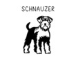Schnauzer vector illustration in black and white  