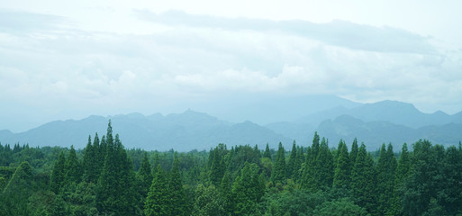 Poster -  landscape of mountains and forest trees