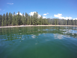 lake in forest