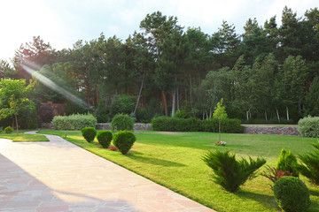 Picturesque landscape with beautiful green garden on sunny day