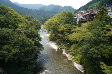 Wall Mural - Tama river in Summer in Okutama  Tokyo