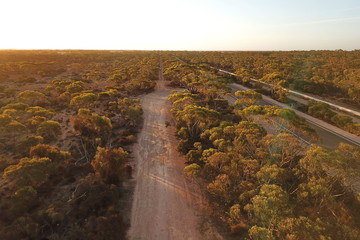 Sticker - Australian outback with small eucalyptus trees