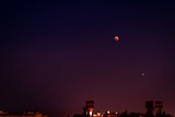 Fototapeta Lawenda - red Moon
