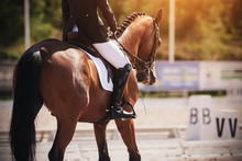 The Rider In A Black And White Suit Performs The Task In Equestrian Competitions In Dressage Riding A Beautiful Bay Horse, Dressed In Ammunition For Equestrian Sports.