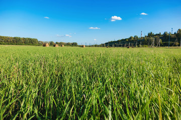 haystack lying among the green field and blue sky