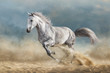 Grey horse galloping on sandy field against dramatic blue sky