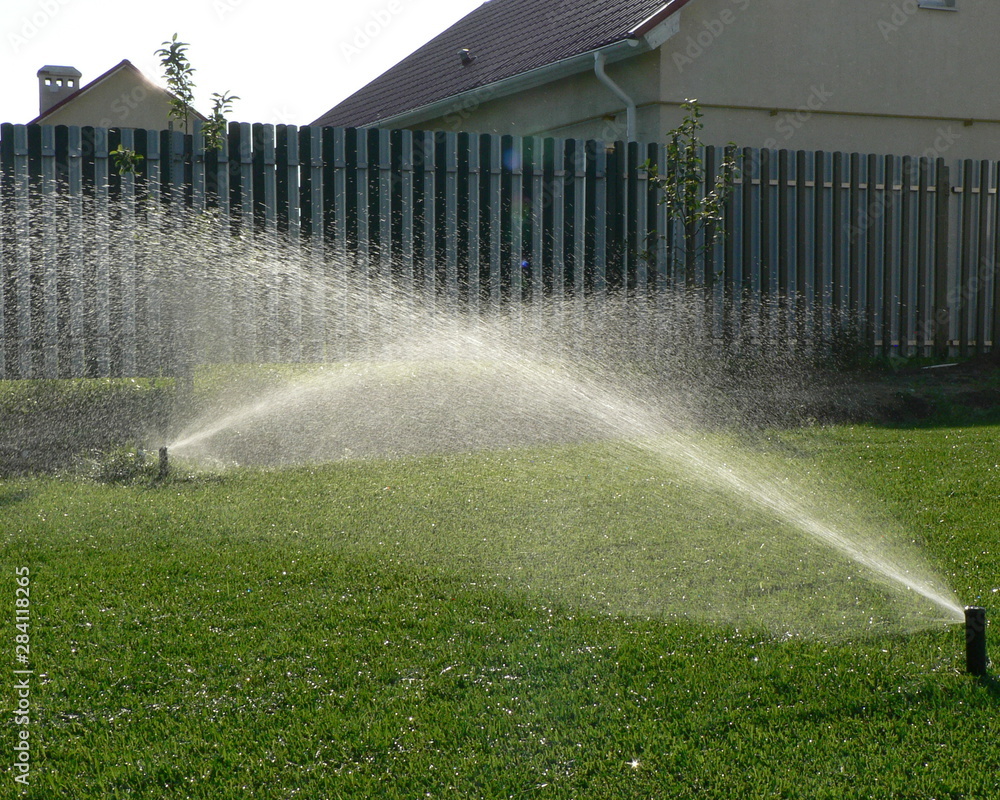 Sprinklers automatic watering grass on a hot summer day. Savings of ...