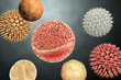 Pollen grains from different plants, 3D illustration. They are factors causing hay fever and allergic rhinitis