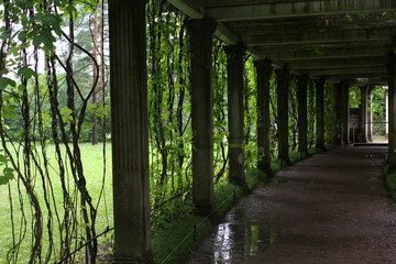 Old, Catherine Park in St. Petersburg. Russia