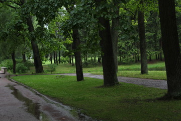 Old, Catherine Park in St. Petersburg. Russia