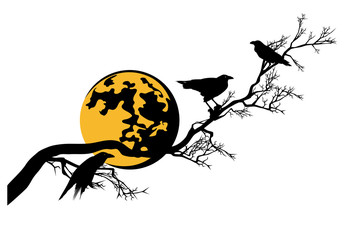 Wall Mural - black raven birds sitting on long bare tree branch under full moon - halloween theme vector silhouet