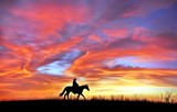 Fototapeta Konie - Lonely cowboy against the evening sky