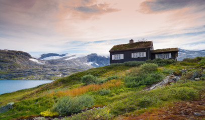 Wall Mural - typical norwegian house