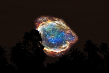 Wall Mural - blur nebula back on night cloud sunset sky silhouette tree