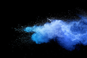 Wall Mural - Blue powder explosion on black background. Colored cloud. Colorful dust explode. Paint Holi.