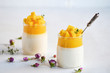 Italian dessert panna cotta with mango jelly and pieces of fresh mango. Copy space.