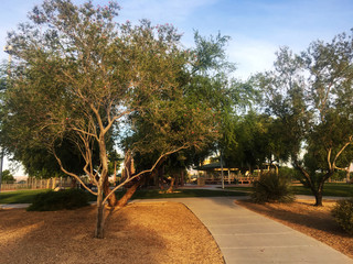 Wall Mural - Silverado Ranch Park, Las Vegas, NV.