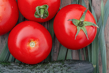 tomatoes and cucumbers on wooden background