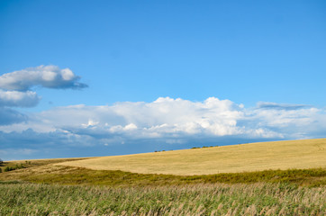 Large clouds on the horizon with a field