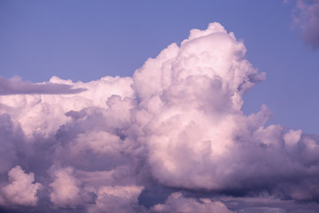 Twilight ping cloud on purple sky. Delicate heavenly cloudscape sky with pink  coloured cumulus cloud formation in a pastel blue sky. Sunset background image, Beauty in nature.