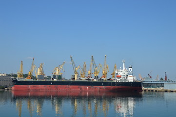 Cargo ship in the port