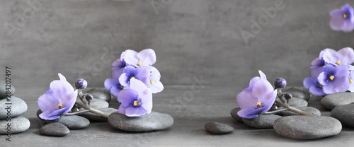 Naklejka na szybę Zen stones and violet flowers on grey background.