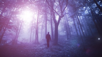 Wall Mural - Man walks in dreamy purple colored foggy fairy tale forest with firefly.