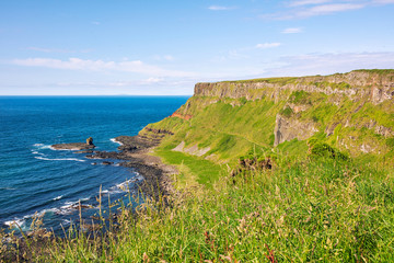 Wall Mural - summer giants causeway coastline,Northern Ireland