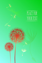 Floral Summer Backgrounds Art Design Web Header Template.	Illustration Red Dandelions Card Art Design Web Header Template. Abstract Green Collage Flowers And Flying Seeds. 