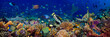underwater coral reef landscape wide 3to1 panorama background  in the deep blue ocean with colorful fish sea turtle marine wild life