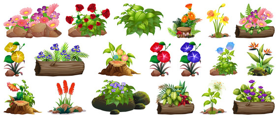 Sticker - Large set of colorful flowers on rocks and wood