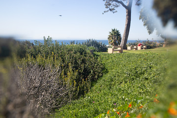 California Coast