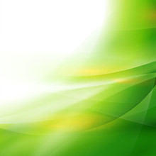 Abstract Smooth Green Flow Background, Vector Illustration
