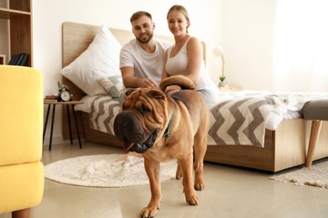 Sticker - Cute Shar-Pei dog with owners in bedroom