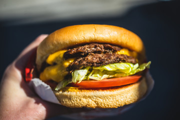 person holding a cheeseburger