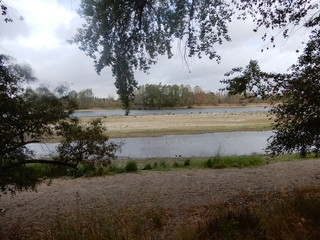 Poster - la loire, Veuzain, Loir et cher, Centre Val de Loire, France