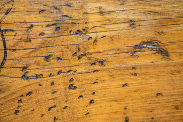 Texture of wooden fence background wood panel.