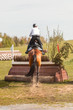 horse jumping during horse eventing cross-country in the morning in spring