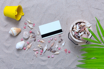 Wall Mural - Credit card and Sea shell with plam leave on sand beach.Travel cost concept.