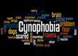 © kalpis - Cynophobia fear of dogs word cloud concept 3