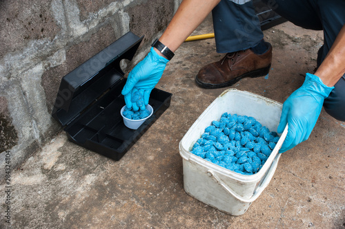 Fotomural Get rid of rat using bait poison box, pest control in industry.