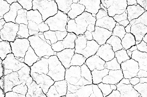 Fotomural Dry cracked soil texture, background barren of drought lack of water of nature white
