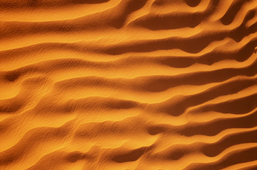 Wall Mural - Golden, Rippled Sand